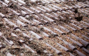 Hatch Green roof cleaning companies